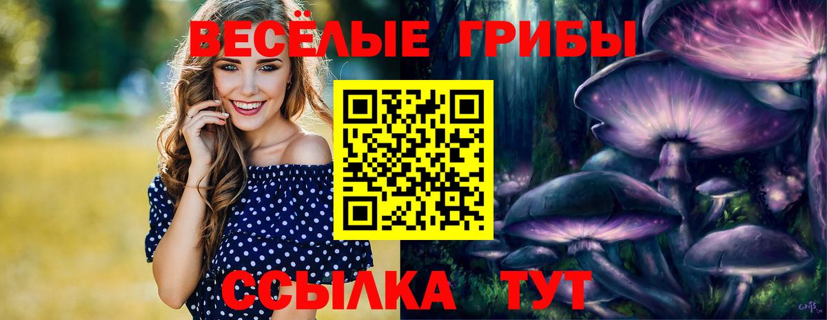 Галлюциногенные грибы Cubensis Новочеркасск