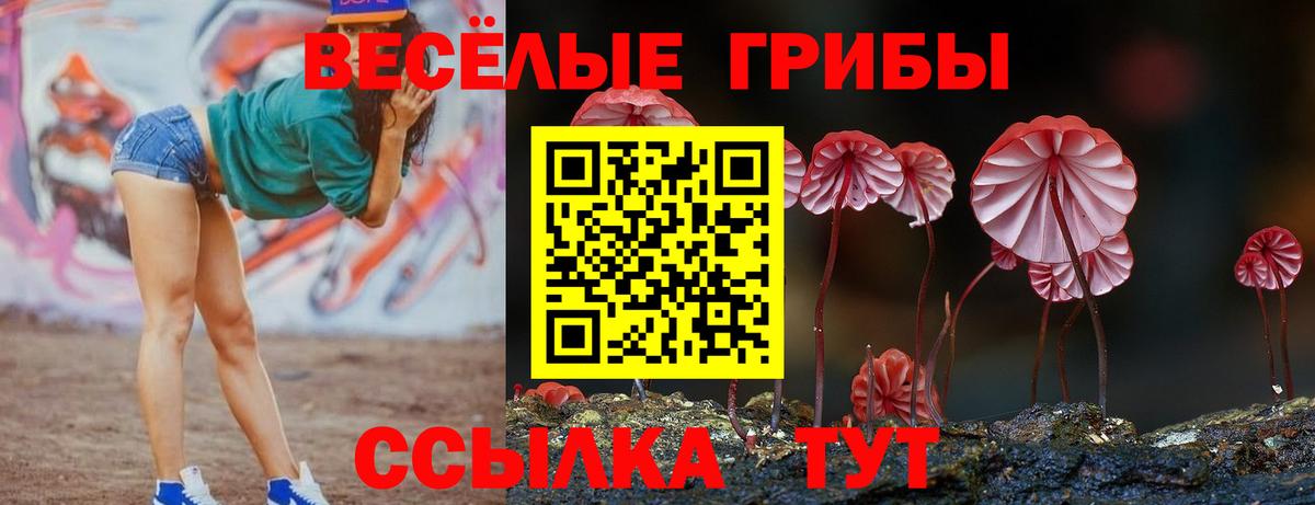 Галлюциногенные грибы ЛСД  Вход с VPN  Новочеркасск 
